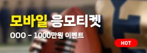 배너4